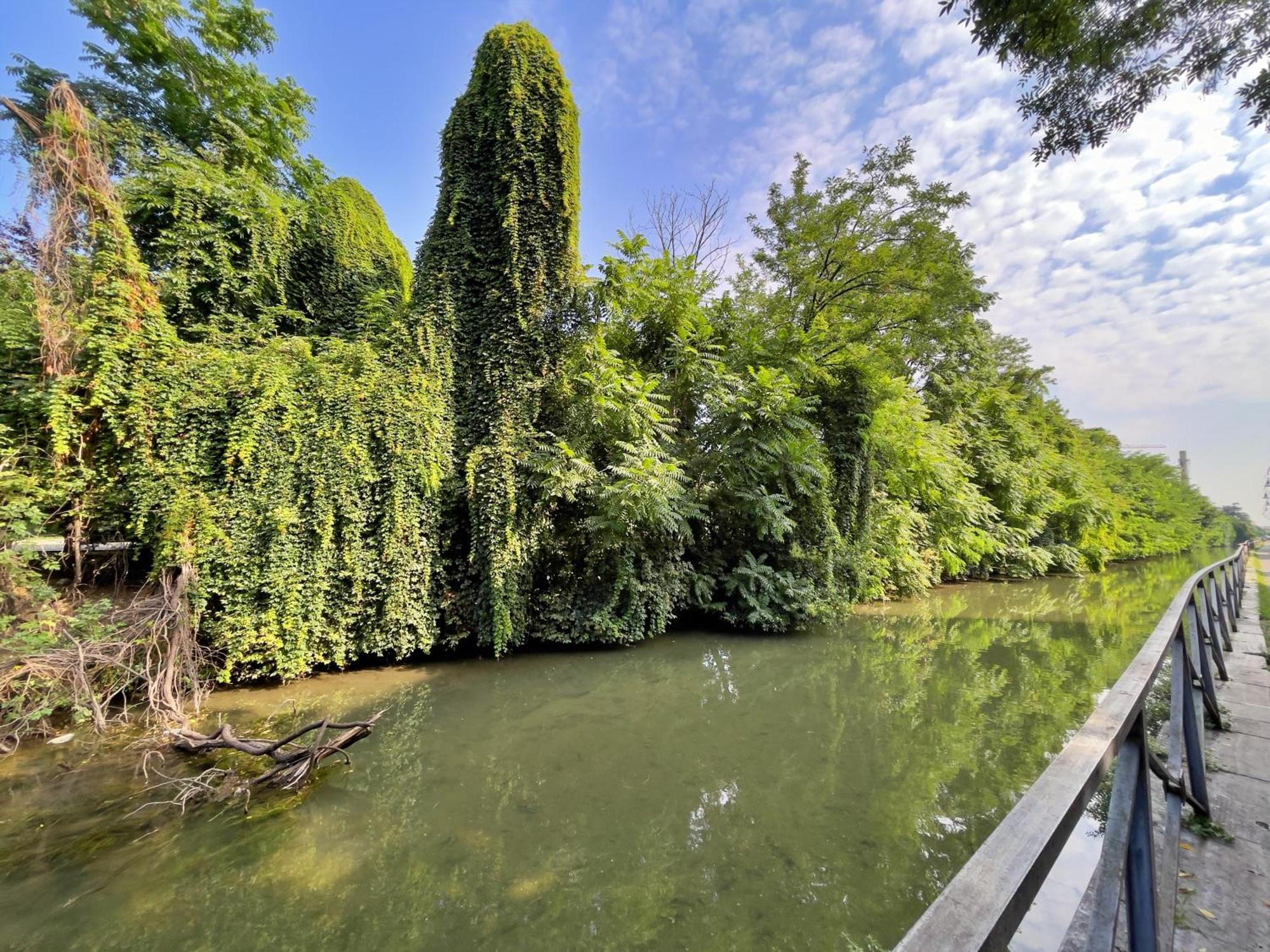 Apartment Best Way Rent - Enchanting On Naviglio Martesana Mailand